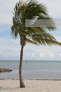 下陆区财产保全律师 下陆区财产保全律师