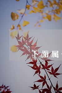 下面属于纪律的是a民法 下面属于纪律的是a民法