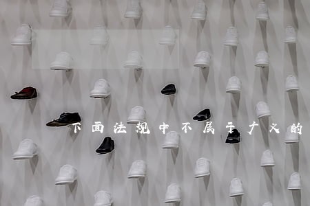 下面法规中不属于广义的法律的是 下面法规中不属于广义的法律的是