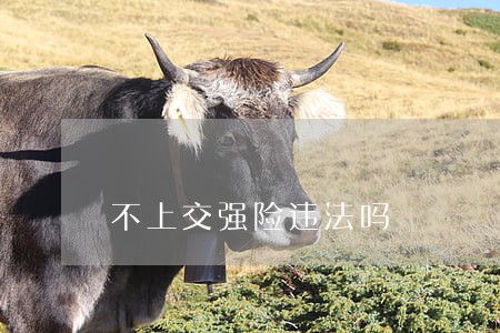 不上交强险违法吗 不上交强险违法吗