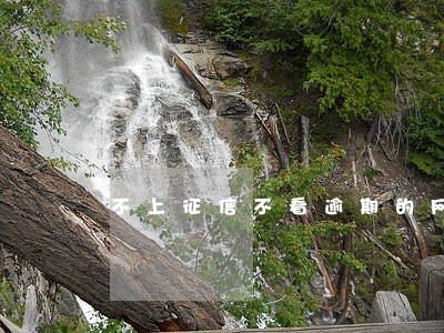 不上征信不看逾期的网贷公司 不上征信不看逾期的网贷公司