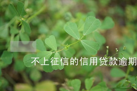 不上征信的信用贷款逾期 不上征信的信用贷款逾期