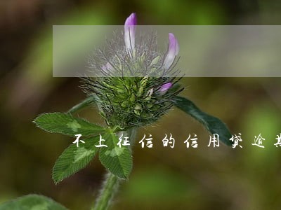 不上征信的信用贷逾期 不上征信的信用贷逾期