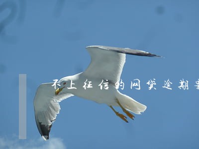 不上征信的网贷逾期要不要紧 不上征信的网贷逾期要不要紧