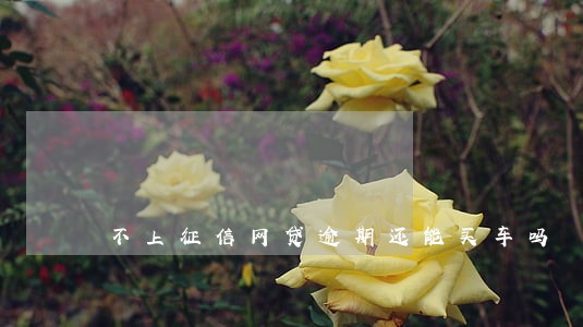 不上征信网贷逾期还能买车吗 不上征信网贷逾期还能买车吗