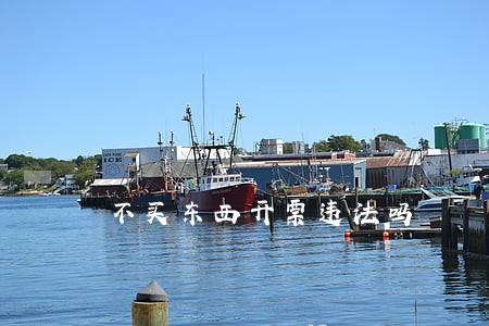 不买东西开票违法吗