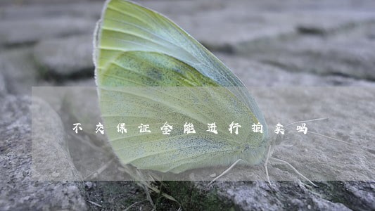 不交保证金能进行拍卖吗 不交保证金能进行拍卖吗
