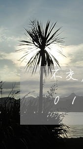 不交房租属于违法么/2023013040172
