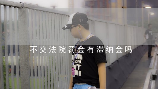 不交法院罚金有滞纳金吗 不交法院罚金有滞纳金吗