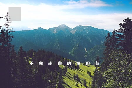 不会逾期的信用卡 不会逾期的信用卡
