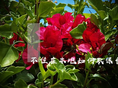 不住在本地如何取保候审 不住在本地如何取保候审