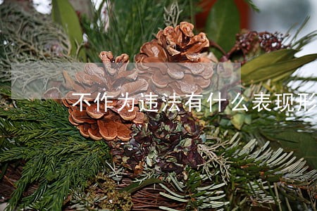 不作为违法有什么表现形式 不作为违法有什么表现形式