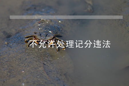不允许处理记分违法