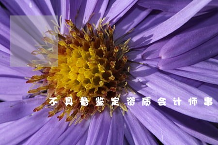 不具备鉴定资质会计师事务所 不具备鉴定资质会计师事务所