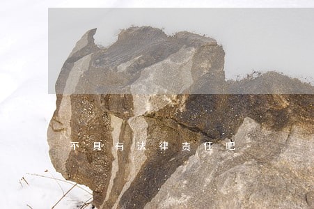 不具有法律责任吧 不具有法律责任吧