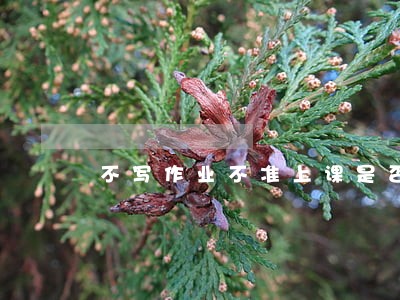 不写作业不准上课是否违法 不写作业不准上课是否违法