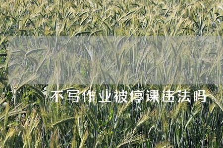 不写作业被停课违法吗 不写作业被停课违法吗
