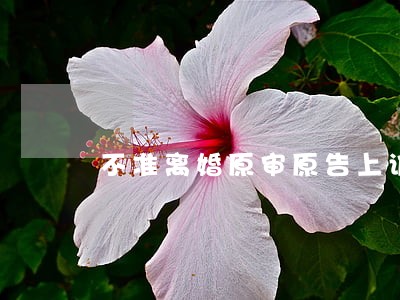 不准离婚原审原告上诉状 不准离婚原审原告上诉状