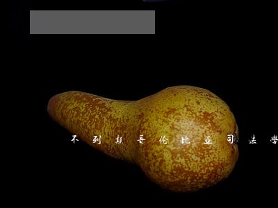 不列颠哥伦比亚司法学院