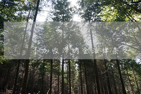 不加收滞纳金法律条文 不加收滞纳金法律条文