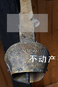 不动产不认法院调解书 不动产不认法院调解书