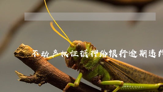 不动产权证抵押给银行逾期违约 不动产权证抵押给银行逾期违约