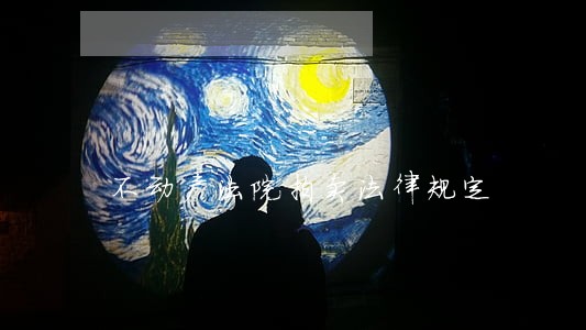 不动产法院拍卖法律规定 不动产法院拍卖法律规定