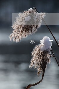 不发工资上法院打官司 不发工资上法院打官司