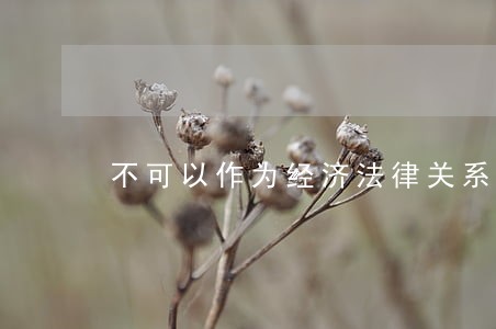 不可以作为经济法律关系的客体 不可以作为经济法律关系的客体