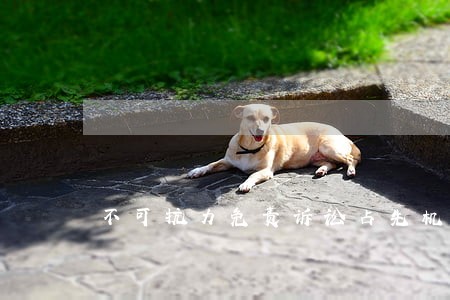 不可抗力免责诉讼占先机 不可抗力免责诉讼占先机