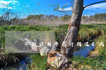 不同信用卡累计超过6次逾期 不同信用卡累计超过6次逾期