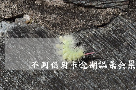 不同信用卡逾期记录会累计 不同信用卡逾期记录会累计