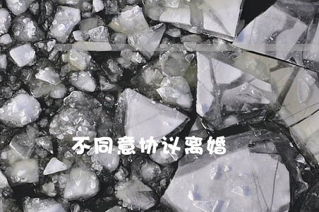 不同意协议离婚 不同意协议离婚