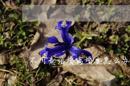 不同意结婚离婚要怎么办 不同意结婚离婚要怎么办