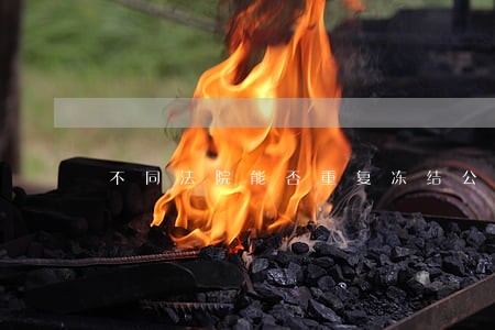 不同法院能否重复冻结公司账户 不同法院能否重复冻结公司账户