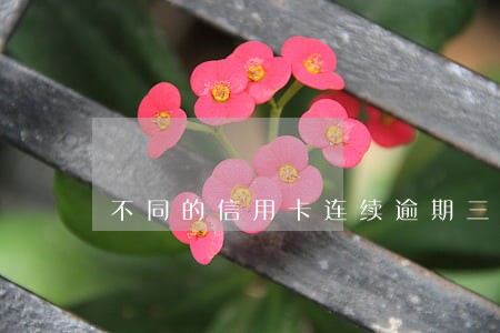 不同的信用卡连续逾期三个月