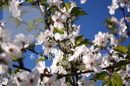 不同银行信用卡都逾期了会怎么样 不同银行信用卡都逾期了会怎么样