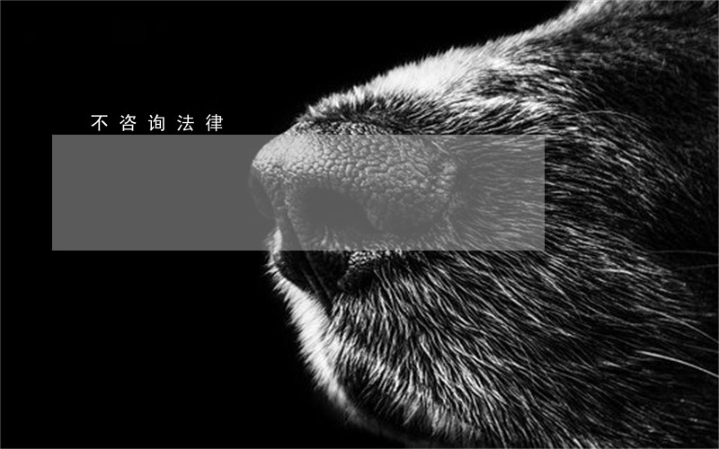 不咨询法律