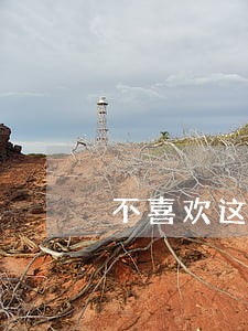 不喜欢这一季的律师 不喜欢这一季的律师