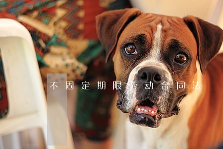 不固定期限劳动合同法 不固定期限劳动合同法