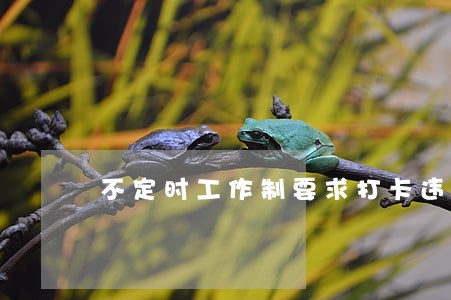 不定时工作制要求打卡违法吗 不定时工作制要求打卡违法吗