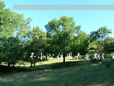 不小心信用卡逾期5天 不小心信用卡逾期5天