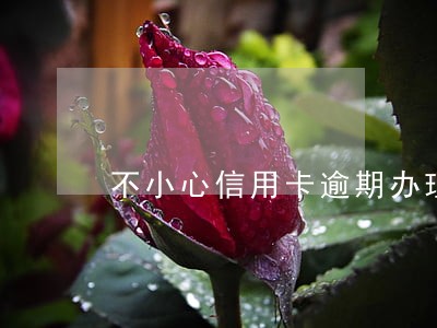 不小心信用卡逾期办理购房按揭 不小心信用卡逾期办理购房按揭