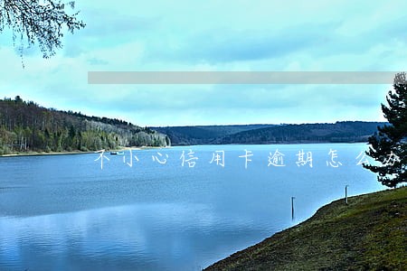 不小心信用卡逾期怎么办 不小心信用卡逾期怎么办