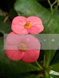 不小心把信用卡逾期了 不小心把信用卡逾期了