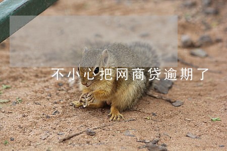 不小心把网商贷逾期了 不小心把网商贷逾期了