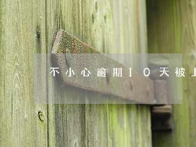 不小心逾期10天被上了征信后果 不小心逾期10天被上了征信后果