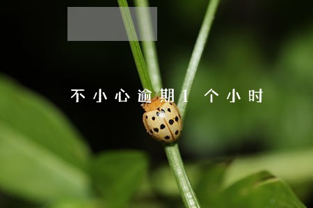 不小心逾期1个小时 不小心逾期1个小时