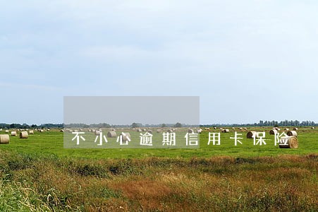 不小心逾期信用卡保险 不小心逾期信用卡保险