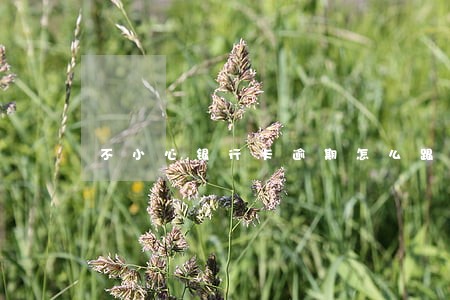 不小心银行卡逾期怎么跟银行协商 不小心银行卡逾期怎么跟银行协商